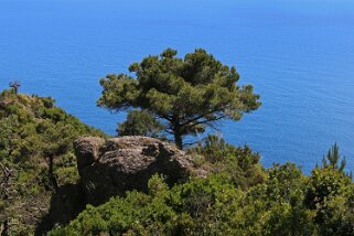 Parc Naturel de Portofino Italie 2015