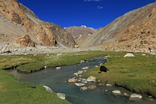 Muglib Ladakh 2016