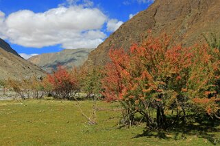 Sumdo Ladakh 2016