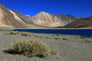 Pangong Tso Ladakh 2016