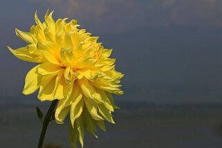 Pari Mahal - Srinagar Ladakh 2016