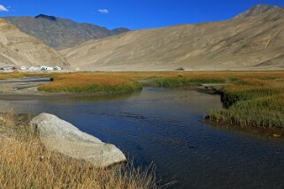 Puga Ladakh 2016