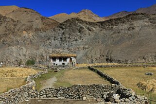 Rumtse Ladakh 2016