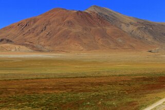 Tso Kar Ladakh 2016