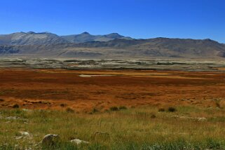 Tso Kar Ladakh 2016