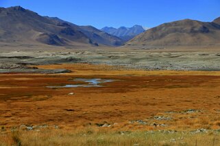 Tso Kar Ladakh 2016