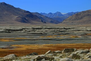 Tso Kar Ladakh 2016