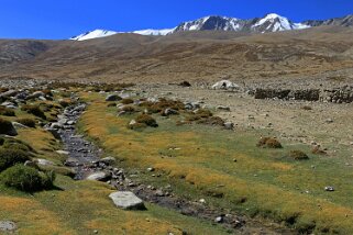 Korzok Ladakh 2016