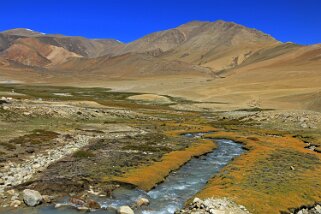 Korzok Ladakh 2016