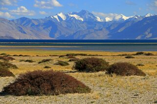 Tso Moriri - Gya 6790 m Ladakh 2016