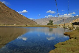 Sani Ladakh 2016