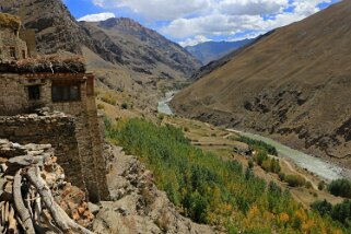 Ichar - Vallée de la Tsarap Ladakh 2016