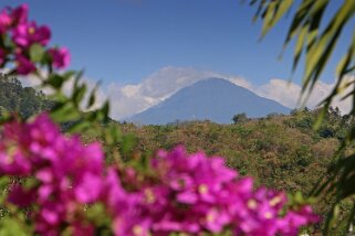 Temple de Banjar - Batukaru 2276 m Indonésie 2017