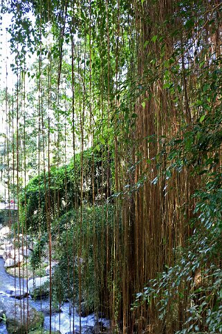 Temple de Gunung Kawi Indonésie 2017