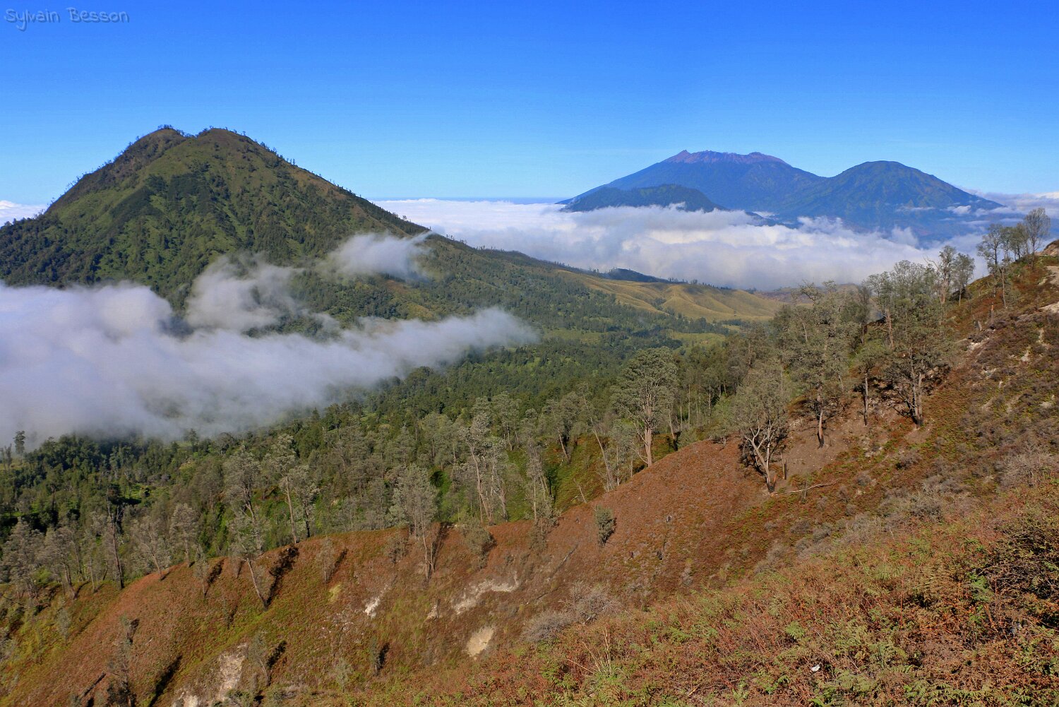 Réserve d'Ijen-Merapi-Maelang - Raung 3332 m - Rante 2644 m Indonésie 2017