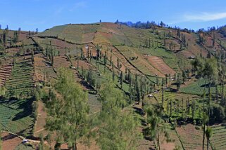 Parc national de Bromo-Tengger-Semeru Indonésie 2017