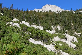 Parc national de Sjeverni Velebit Croatie 2018