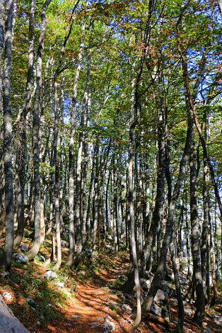 Parc national de Sjeverni Velebit Croatie 2018