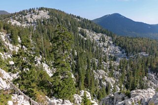 Parc national de Sjeverni Velebit Croatie 2018