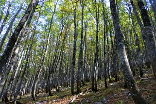 Parc national de Sjeverni Velebit Croatie 2018