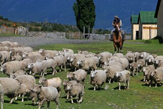 Estancia Nibepo Aike Patagonie 2018