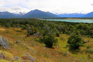 Estancia Nibepo Aike Patagonie 2018