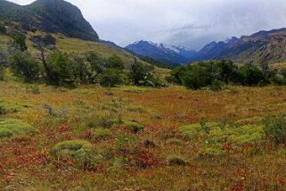 Parque Nacional Los Glaciares Patagonie 2018