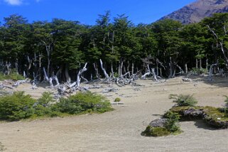 Parque Nacional Los Glaciares Patagonie 2018