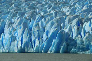 Glaciar Grey - Parque Nacional Torres del Paine Patagonie 2018