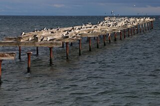 2018 Punta Arenas