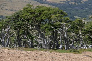 Sierra Dorotea Patagonie 2018