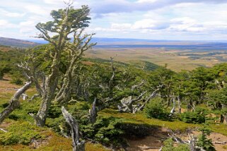 Sierra Dorotea Patagonie 2018