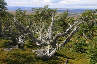 Sierra Dorotea Patagonie 2018