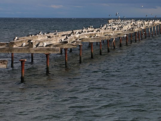 Punta Arenas Chili