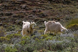 Sehong Hong Valley Lesotho 2019