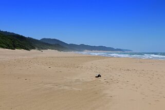 iSimangaliso Wetland Park - Cape Vidal Afrique du Sud 2019