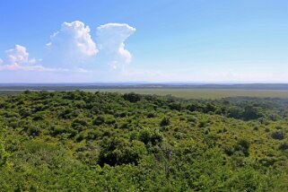 iSimangaliso Wetland Park Afrique du Sud 2019