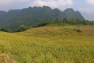 Kho Muong Vietnam 2019