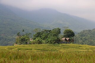 Kho Muong Vietnam 2019