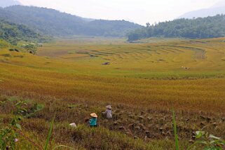 Kho Muong Vietnam 2019