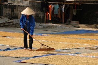 Mai Châu Vietnam 2019