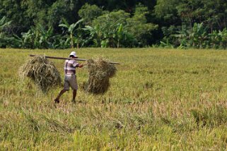 Mai Châu Vietnam 2019