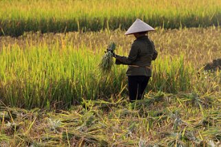 Mai Châu Vietnam 2019