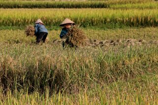 Mai Châu Vietnam 2019