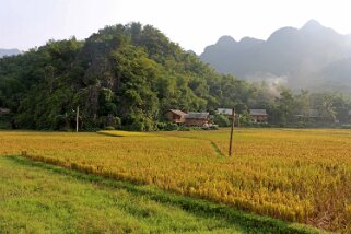 Mai Châu Vietnam 2019