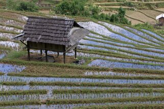 La Pan Tan Vietnam 2019