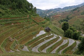 La Pan Tan Vietnam 2019