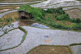 La Pan Tan Vietnam 2019