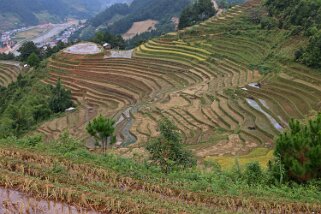 Mu Cang Chai Vietnam 2019