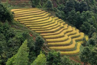 Mu Cang Chai Vietnam 2019